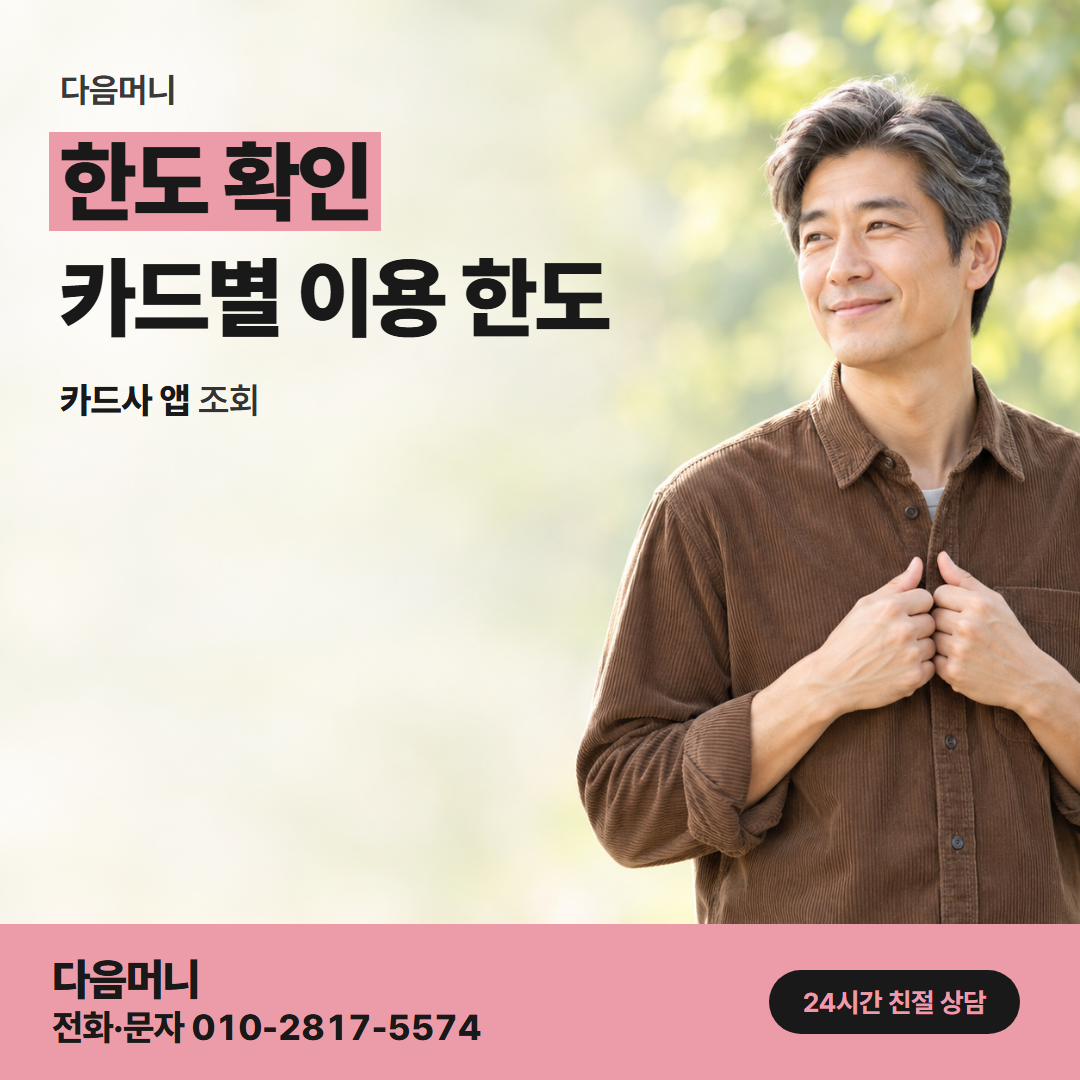 다음머니 현대카드할부현금화 카드사 앱 조회 화면